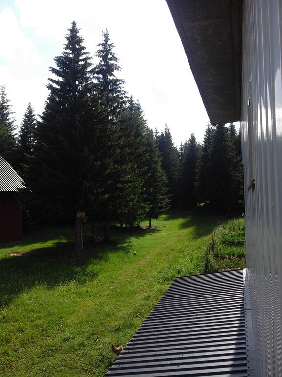 Apartment Luka Žabljak Esterno foto